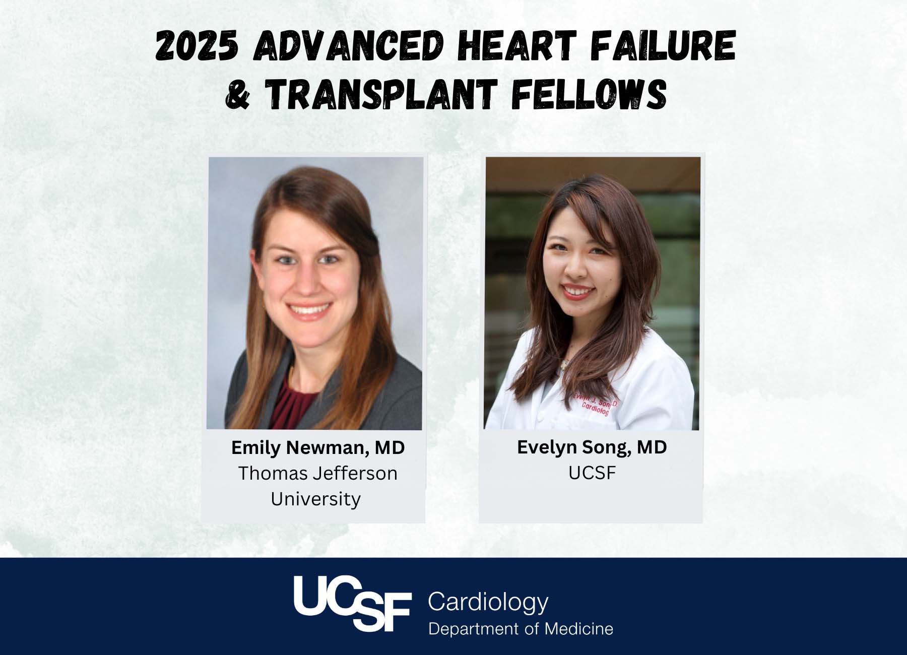 Advanced heart failure fellows