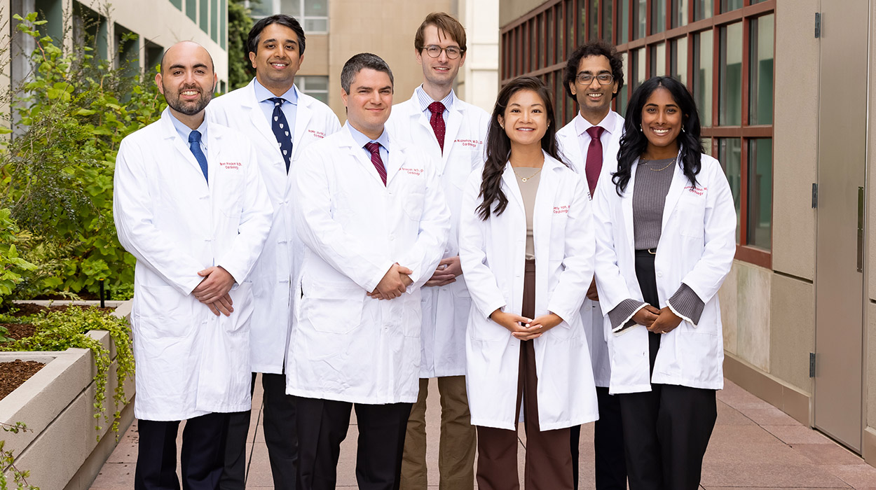 Second year Fellows