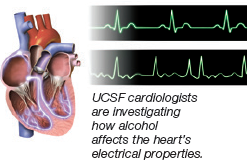 Alcohol Affects Heart