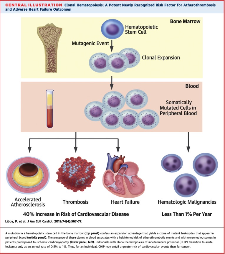 Clonal hematopoiesis