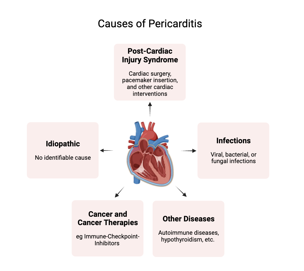 what is myocarditis