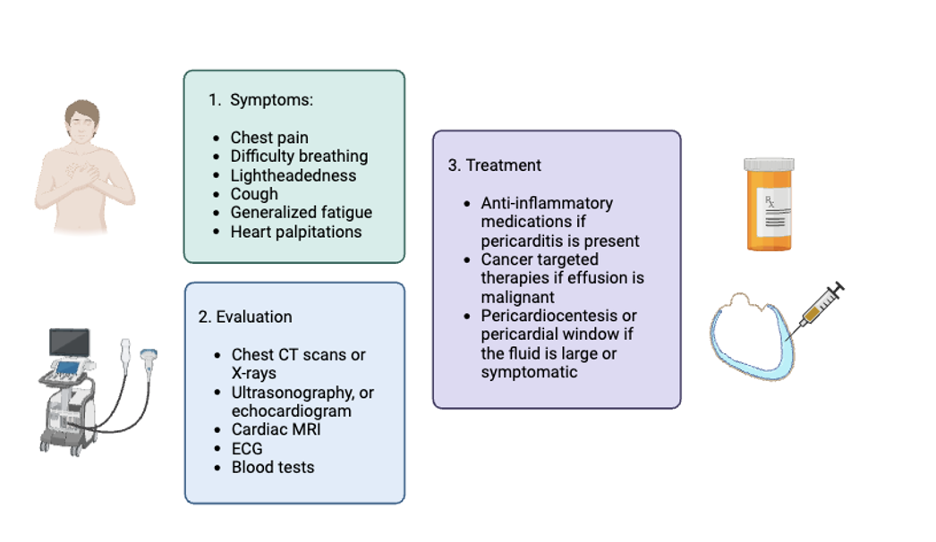 what is myocarditis