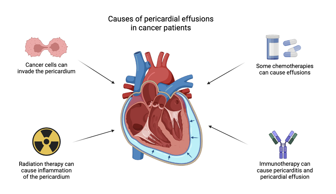 cancer patients at risk 