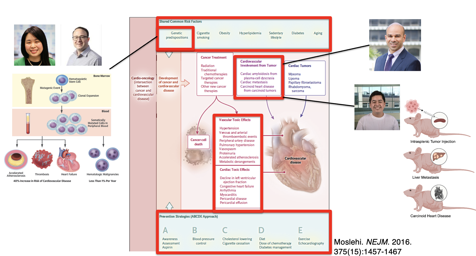 world of cardio-oncology 