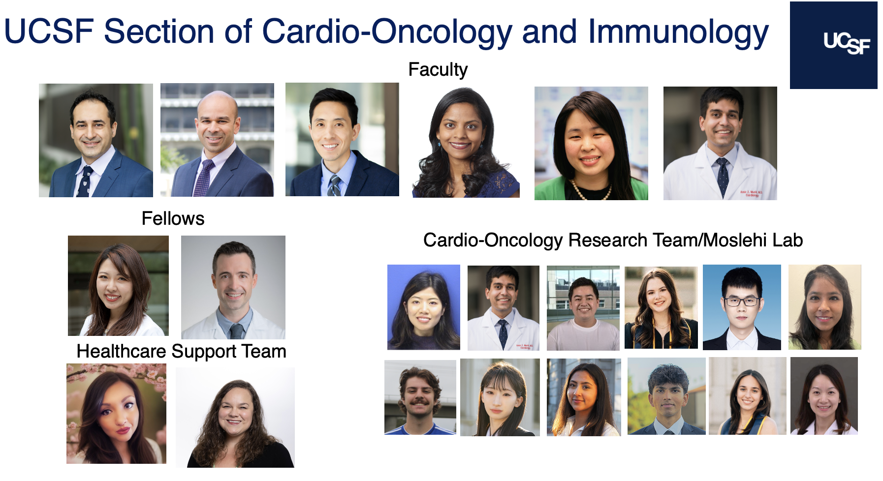 cardio onc team
